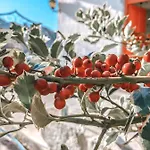 Costeira Douro Дом отдыха Каштелу-ди-Пайва