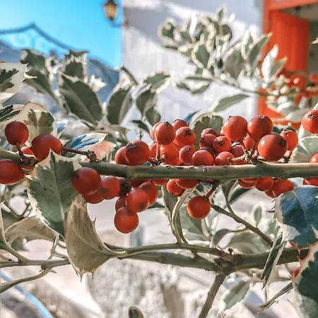 Costeira Douro 度假居 派瓦堡