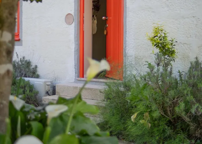 Дом отдыха Costeira Douro